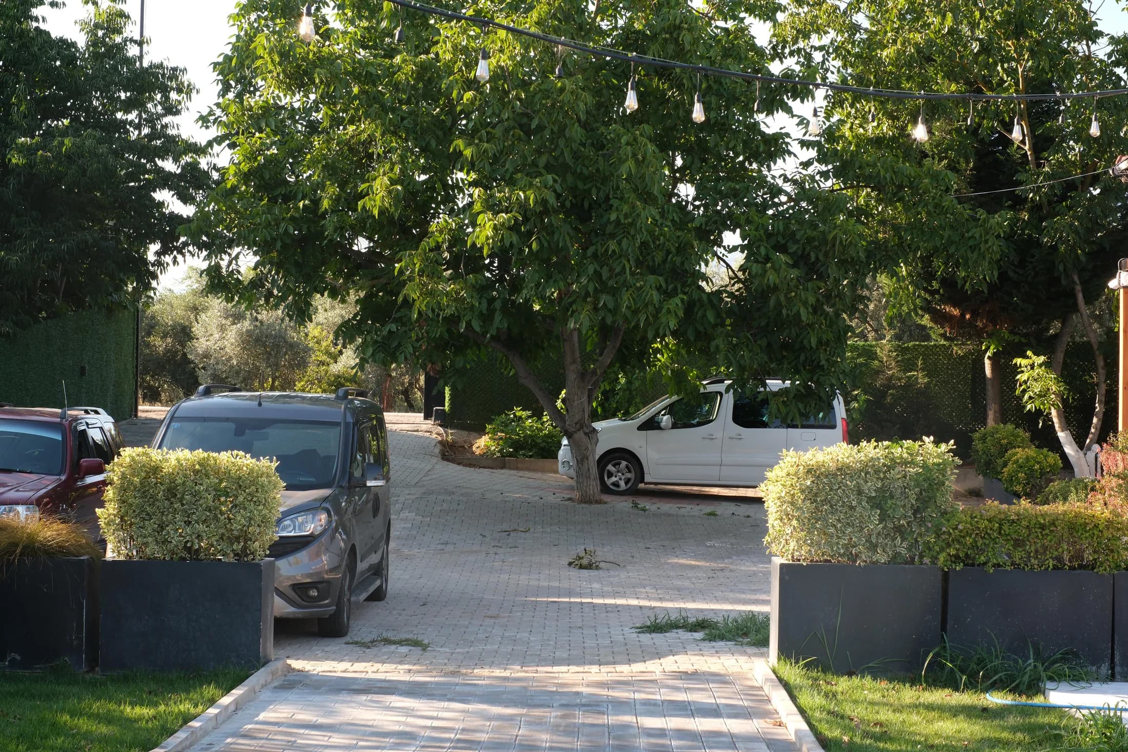Alfa Garden ağaçlık özel otopark alanı